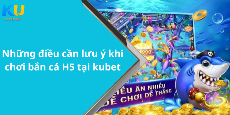 Những điều cần lưu ý khi chơi bắn cá H5 tại kubet