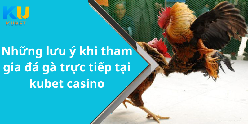 Những lưu ý khi tham gia đá gà trực tiếp tại kubet casino